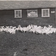 CLARA_PHOTO_ALBUM_1 - 3839.jpg