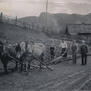 CLARA_PHOTO_ALBUM_1 - 3841.jpg