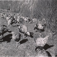 CLARA_PHOTO_ALBUM_1 - 3842.jpg