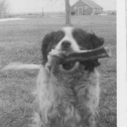 CLARA_PHOTO_ALBUM_1 - 3857.jpg