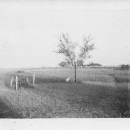 CLARA_PHOTO_ALBUM_1 - 3862.jpg