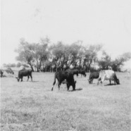 CLARA_PHOTO_ALBUM_1 - 3877.jpg