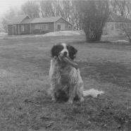 CLARA_PHOTO_ALBUM_1 - 3880.jpg