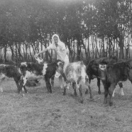 CLARA_PHOTO_ALBUM_1 - 3881.jpg