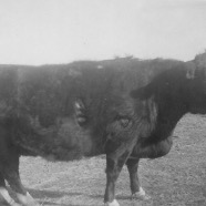 CLARA_PHOTO_ALBUM_1 - 3890.jpg