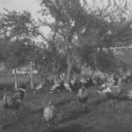 CLARA_PHOTO_ALBUM_1 - 3894.jpg