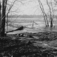 CLARA_PHOTO_ALBUM_1 - 3919.jpg