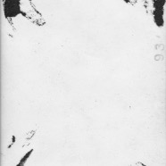 CLARA_PHOTO_ALBUM_1 - 3935.jpg